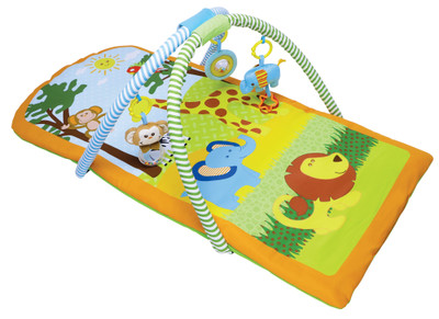 Baby Playgym And Discovery Tunnel