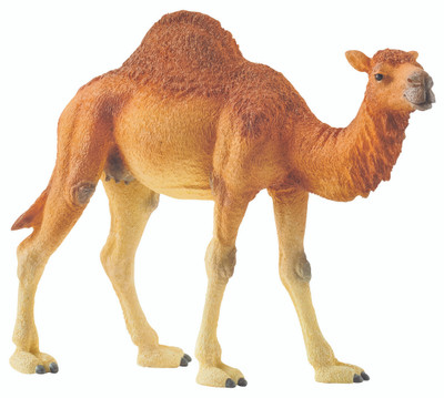 Schleich Dromedary
