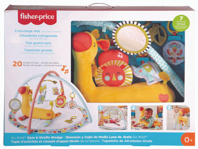 Fisher Price Go Wild Gym and Giraffe Wedge Fisher Price Go Wild Gym and Giraffe Wedge