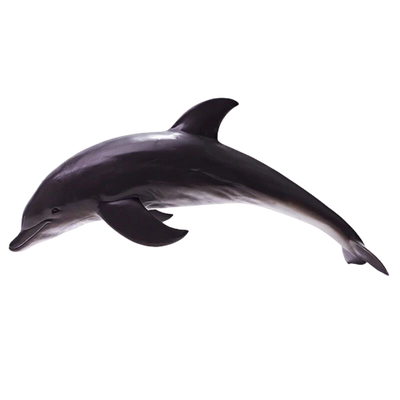 Soft Dolphin 40cm Soft Dolphin 40cm