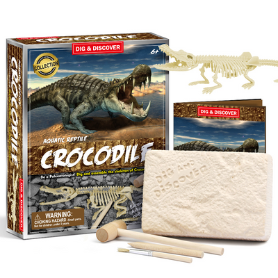 Crocodile Dig Kits Crocodile Dig Kits