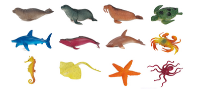 Small Marine Animals Small Marine Animals