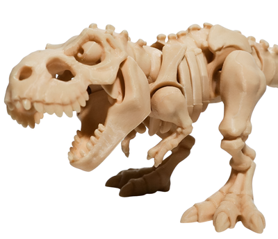 3D Printed T-rex Skeleton 