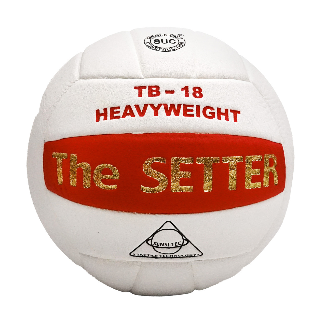 the_setter__25599.1736446587.