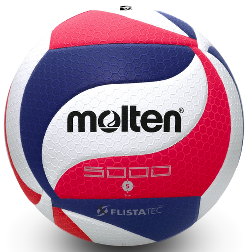 Molten V5M5000 NFHS