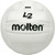 Molten L2 with High School Stamp