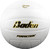 Baden Perfection Volleyball