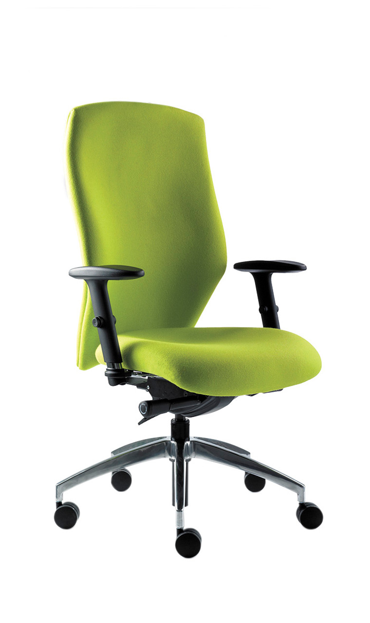 Blast Ergo Chairs - Ergonomic Office Chairs - The Chair Clinic