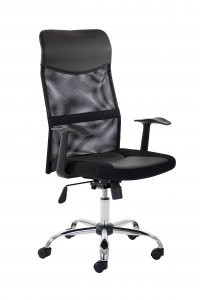 Vegalite Executive Mesh Chair