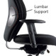 Inflatable Lumbar