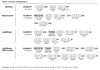 eldoLED Order Code Configurator