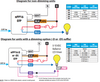 NPP16 EFP (*265LYP) Acuity nLight - Wiring