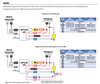 nPP16 D ER EFP 347 Acuity (*265M3M) nLight  - Wiring