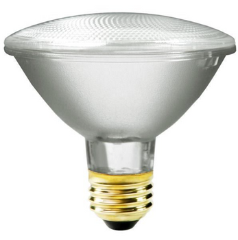 Plusrite 55 Watt PAR30 Flood Lamp