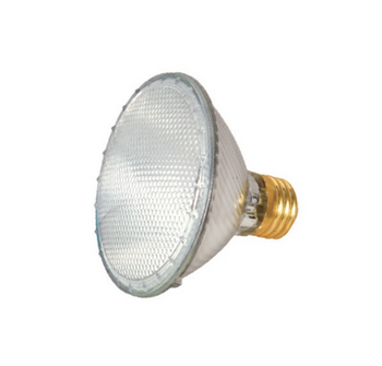 SATCO 60 Watt PAR30 Halogen Flood Lamp