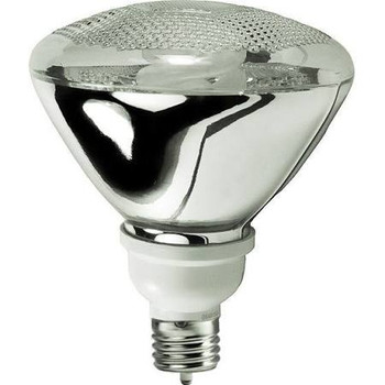 TCP 19 Watt PAR38 Floodlight