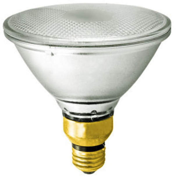 PLUSRITE 70PAR38 LED Lamp