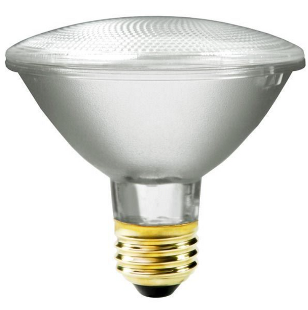 Plusrite 53 Watt PAR30 Spot Lamp