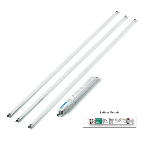 3BT3T5-3Mxx-q Lutron LED Driver + Lamp + BMF C-FLEX Conversion Kit - Three F21T5