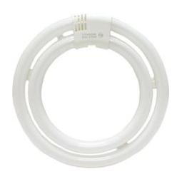 TCP 3205835K (VIVA 25780) 58W/55W T6 Circline Lamp | 3500K Bright