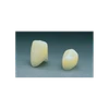 Polycarbonate Crowns  27