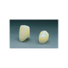 Polycarbonate Crowns  42