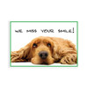 Postcards Dog We Miss Your Smile 4-Up 200/Box