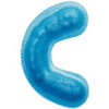 Oral-B Centrays Medium Bag of 100