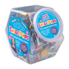 Kids Candy Zollipops Assorted Fruit Flavor Lollipops 150/Box
