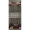 Shofu, Brownie Polishers, HP, Pre-Polishing, 12/Pack, Pre-Polishing Wheel, Size #0273-HP, ISO #120, 0273