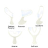 Mark3, Bite Registration Tray Quadrant 35/Pack, Cargus, 100-0202