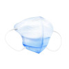 Cranberry 360 Face Masks - Blue Regular size 40/Pk