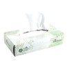 Envision 2-Ply Facial Tissues, White 8' x 8.33', Flat Box. 100 Tissues per Box