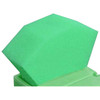 Infection ControlHouse Brand Endo Foam Inserts - Green, Package of 48
