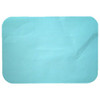 Infection ControlHouse Brand Patient Bibs AQUA 3 Ply, 500/case
