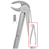 Infection ControlHouse Brand #13 English pattern extracting forceps