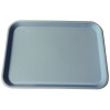 Plasdent Set-up Tray Flat Size B (Ritter) - Blue, Plastic 13-3/8' X 9-5/8' X