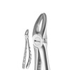 X-Trac Forceps Upper Universal, 1st Molar