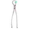 Physics Forceps Standard Right GMX 100