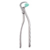 Physics Forceps Standard Anterior GMX 100
