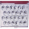 Infection ControlLower Bicuspid Stainless Steel Kit/48