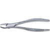 Infection ControlStainless Steel Extraction Forceps #150S, Universal Incisors