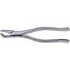 Infection ControlStainless Steel Extraction Forceps #222