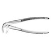Extracting Forceps Europn Style  (FX13)