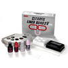Clearfil Liner Bond 2V kit