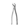 Extracting Forceps 1st And 2nd Lower Molars  (F23)