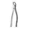 Extracting Forceps Apical Lower Universal  (FAF151)