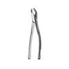 Forcep Lower Incisors Canines Premolars And Root Universal Cryer  (F151)