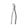 AF151 Apical Lower Universal Extraction Forcep