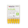 K-Type Files, 21mm, #20, 6/Pkg